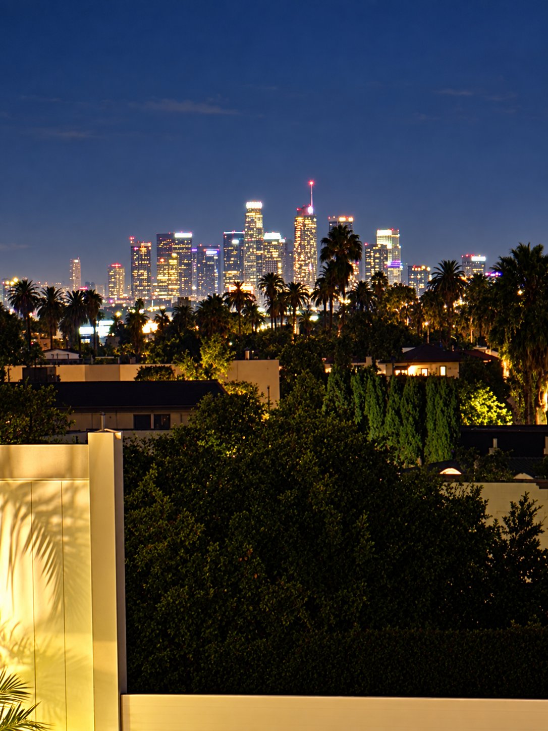 Downtown Los Angeles skyline at dusk seen from the backyard patio at 1148 S Rimpau Blvd